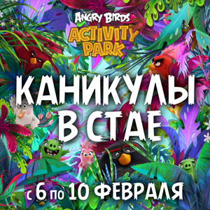 Каникулы в стае Angry Birds «Неделя профессий» Каникулы в стае Angry Birds «Неделя профессий»