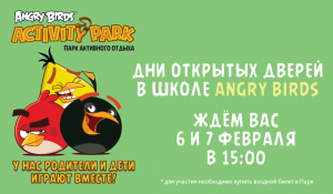 Школа Angry Birds! Школа Angry Birds!
